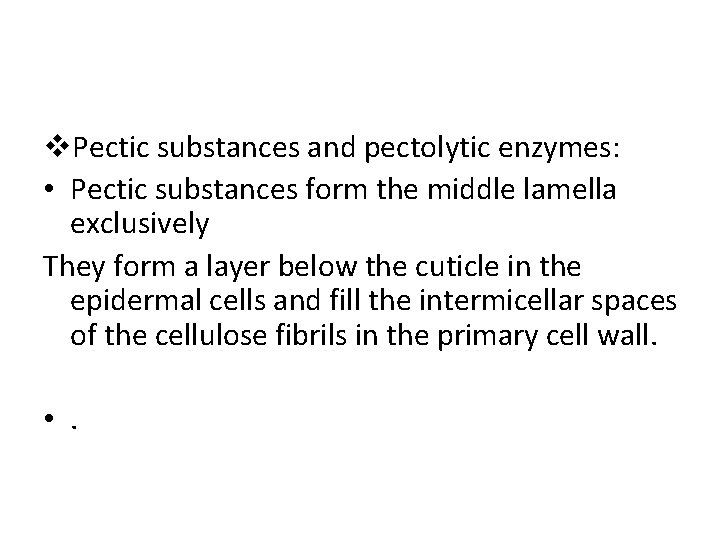 v. Pectic substances and pectolytic enzymes: • Pectic substances form the middle lamella exclusively