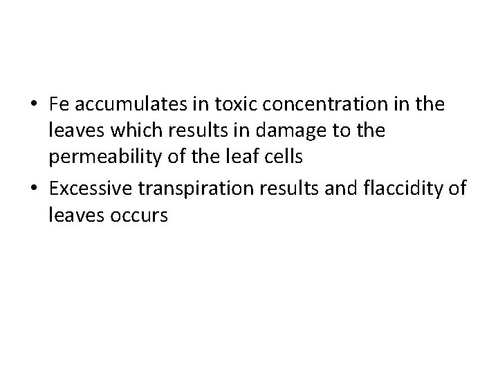  • Fe accumulates in toxic concentration in the leaves which results in damage