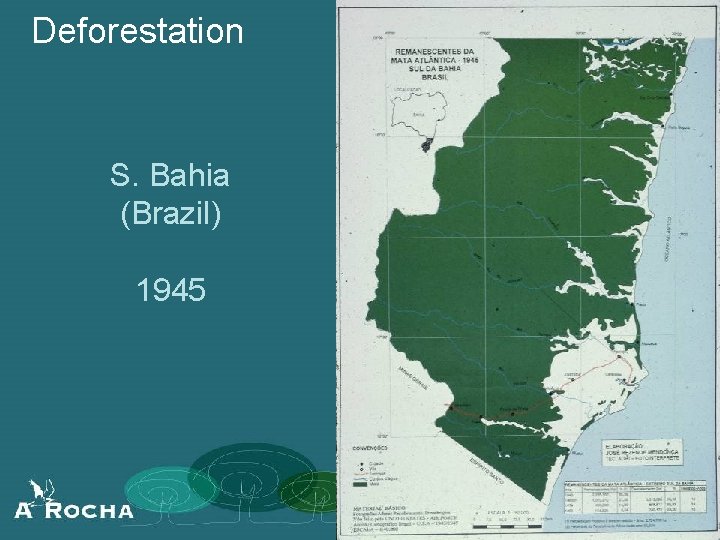 Deforestation S. Bahia (Brazil) 1945 