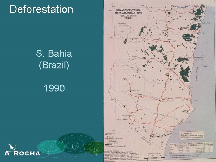 Deforestation S. Bahia (Brazil) 1990 
