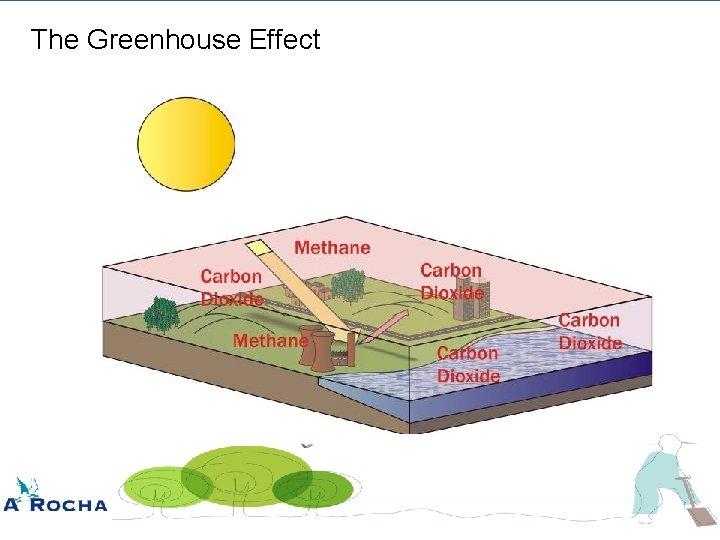 The Greenhouse Effect 