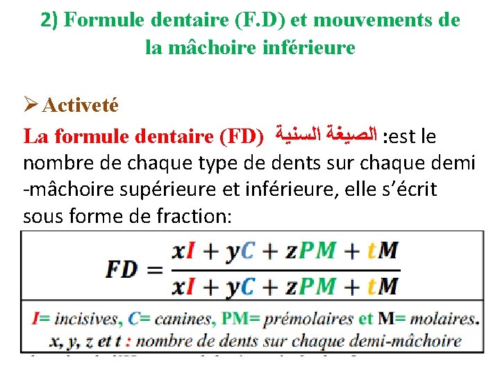 2) Formule dentaire (F. D) et mouvements de la mâchoire inférieure Ø Activeté La