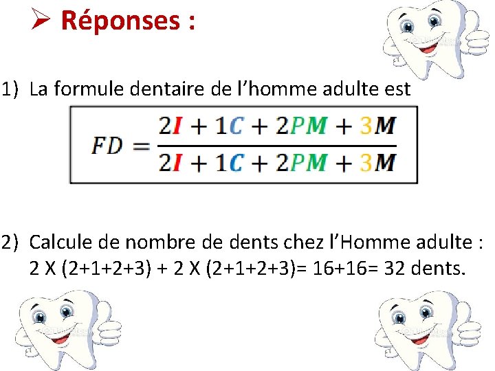 Ø Réponses : 1) La formule dentaire de l’homme adulte est 2) Calcule de