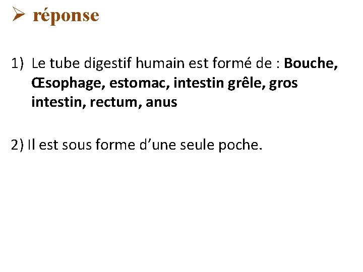 Ø réponse 1) Le tube digestif humain est formé de : Bouche, Œsophage, estomac,