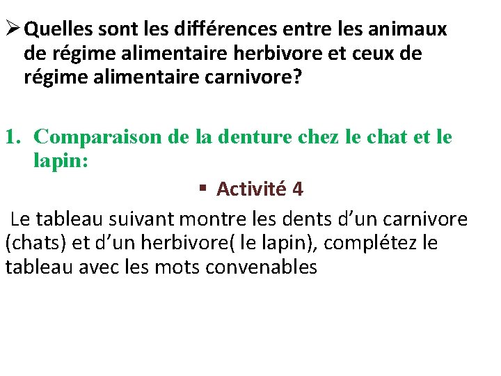 Ø Quelles sont les différences entre les animaux de régime alimentaire herbivore et ceux