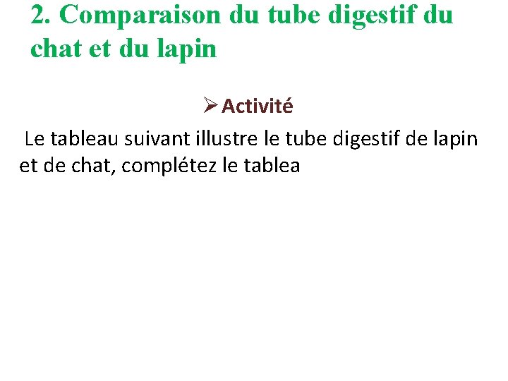 2. Comparaison du tube digestif du chat et du lapin Ø Activité Le tableau