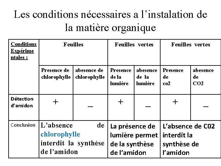 Les conditions nécessaires a l’instalation de la matière organique Conditions Expérime ntales : Feuilles