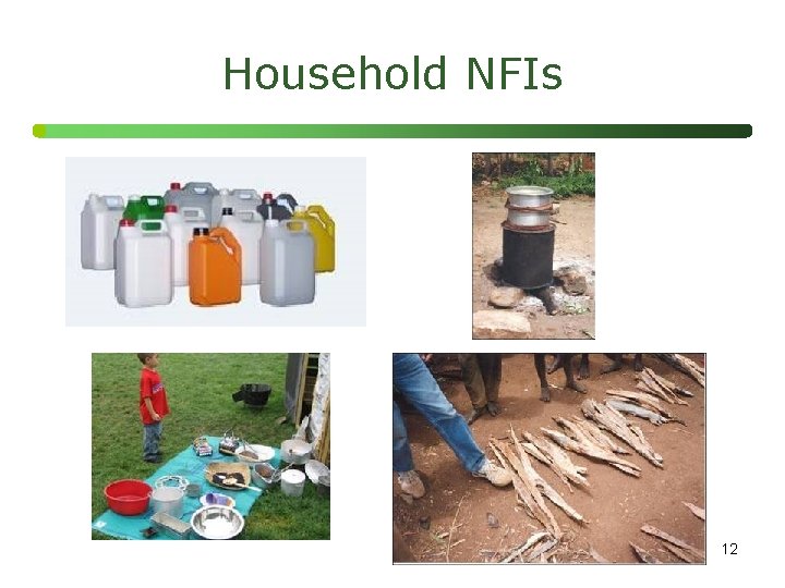 Household NFIs 12 