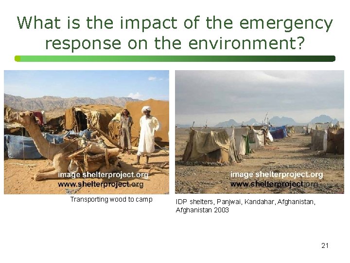 What is the impact of the emergency response on the environment? Transporting wood to