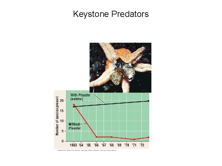 Keystone Predators •  