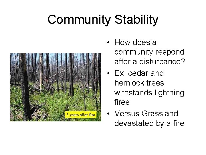 Community Stability • How does a community respond after a disturbance? • Ex: cedar