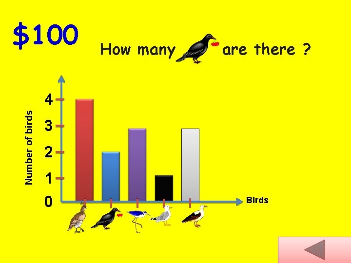 $100 How many are there ? Number of birds 4 3 2 1 0