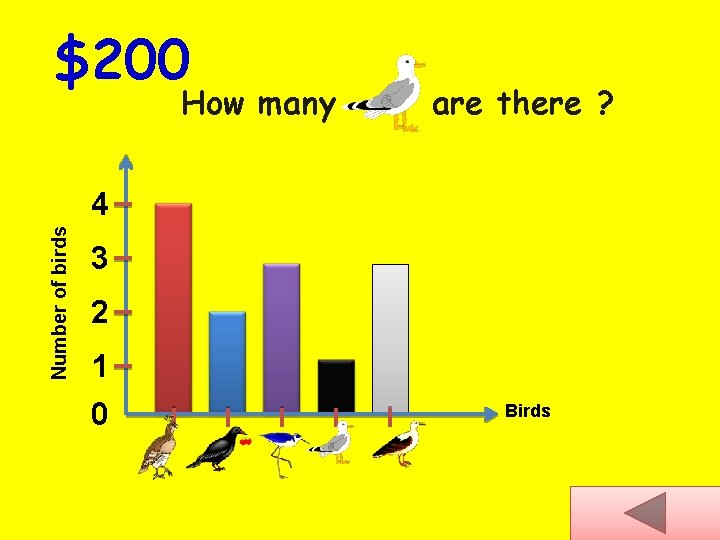 $200 How many are there ? Number of birds 4 3 2 1 0