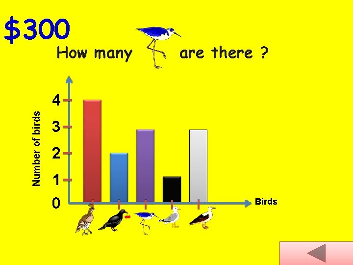 $300 How many are there ? Number of birds 4 3 2 1 0