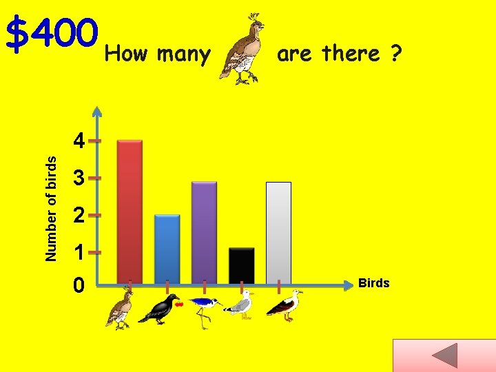 $400 How many are there ? Number of birds 4 3 2 1 0