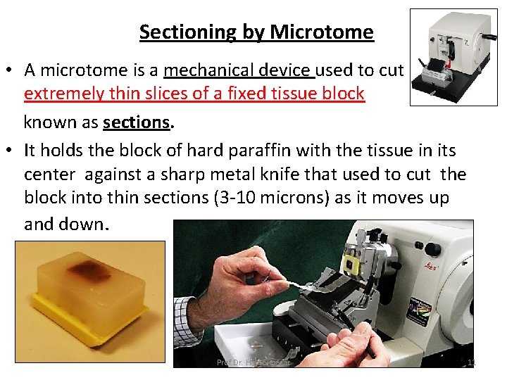 Sectioning by Microtome • A microtome is a mechanical device used to cut extremely