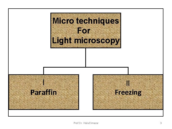 Micro techniques For Light microscopy I Paraffin II Freezing Prof. Dr. Hala Elmazar 3