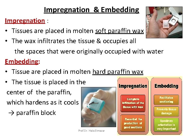 Impregnation & Embedding Impregnation : • Tissues are placed in molten soft paraffin wax