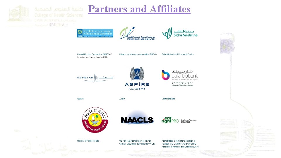 Partners and Affiliates 