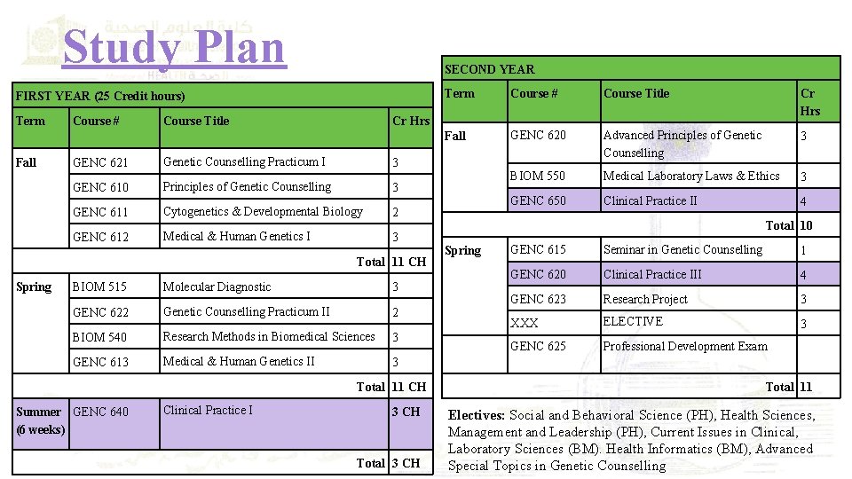 Study Plan SECOND YEAR FIRST YEAR (25 Credit hours) Term Fall Course # Course