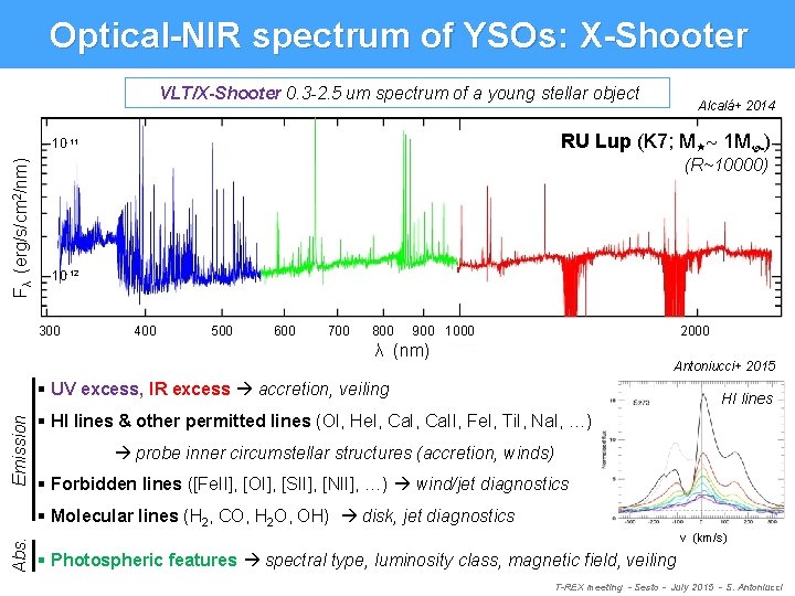 Optical-NIR spectrum of YSOs: X-Shooter VLT/X-Shooter 0. 3 -2. 5 um spectrum of a