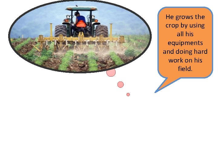 He grows the crop by using all his equipments and doing hard work on
