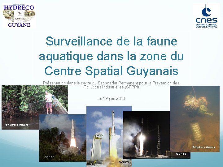 Surveillance de la faune aquatique dans la zone du Centre Spatial Guyanais Présentation dans