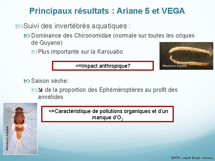 Principaux résultats : Ariane 5 et VEGA Suivi des invertébrés aquatiques : Dominance des
