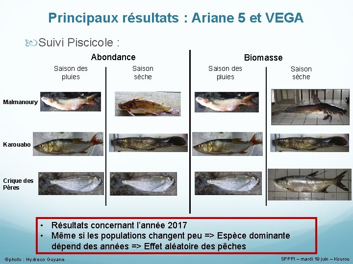 Principaux résultats : Ariane 5 et VEGA Suivi Piscicole : Abondance Saison des pluies