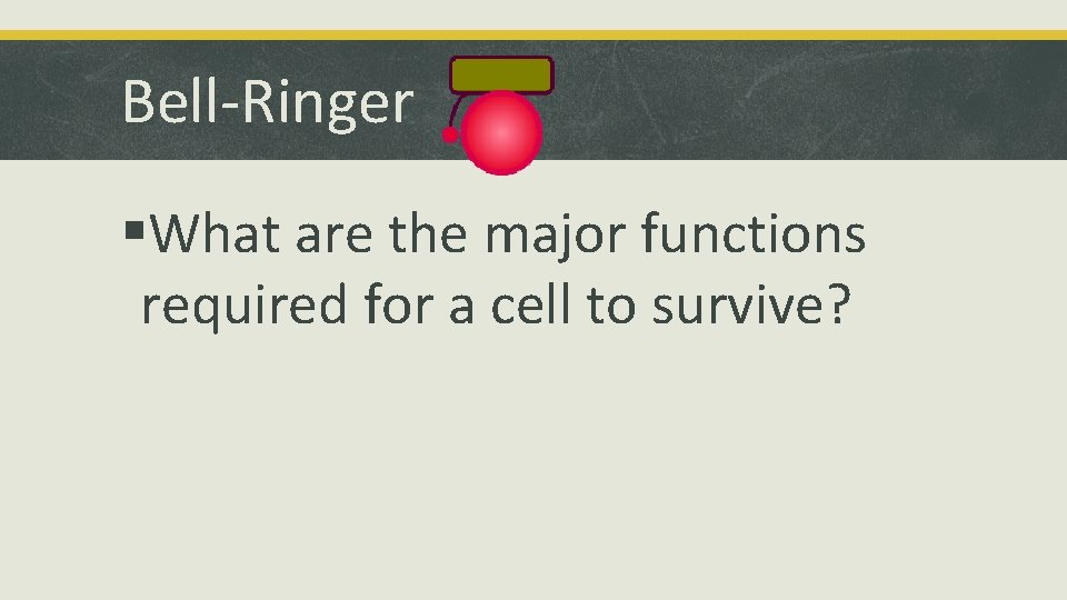 Bell-Ringer §What are the major functions required for a cell to survive? 