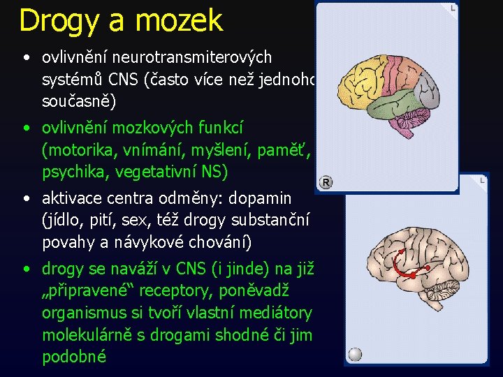 Drogy a mozek • ovlivnění neurotransmiterových systémů CNS (často více než jednoho současně) • Drogy a mozek • ovlivnění neurotransmiterových systémů CNS (často více než jednoho současně) •