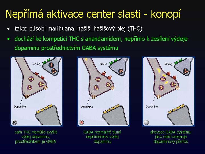 Nepřímá aktivace center slasti - konopí • takto působí marihuana, hašišový olej (THC) • Nepřímá aktivace center slasti - konopí • takto působí marihuana, hašišový olej (THC) •