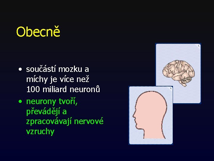 Obecně • součástí mozku a míchy je více než 100 miliard neuronů • neurony Obecně • součástí mozku a míchy je více než 100 miliard neuronů • neurony