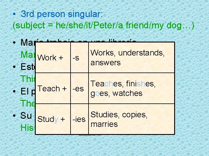  • 3 rd person singular: (subject = he/she/it/Peter/a friend/my dog…) • María trabaja