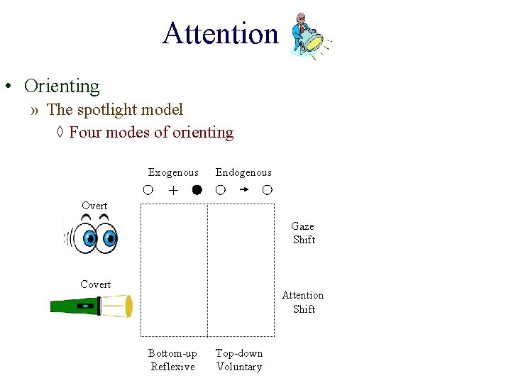 Attention • Orienting » The spotlight model ◊ Four modes of orienting Exogenous Overt