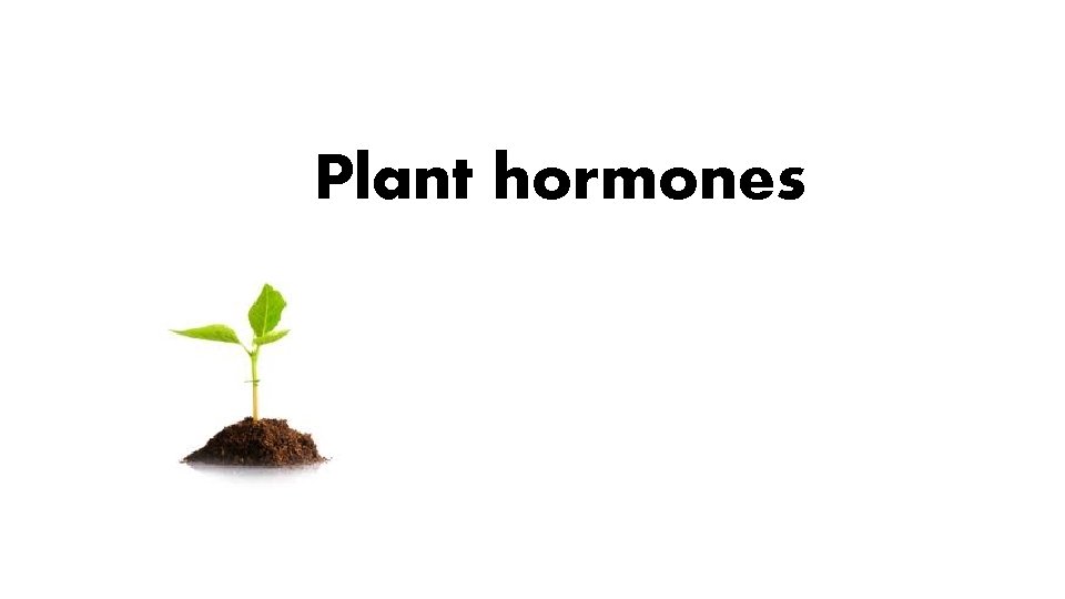 Plant hormones 