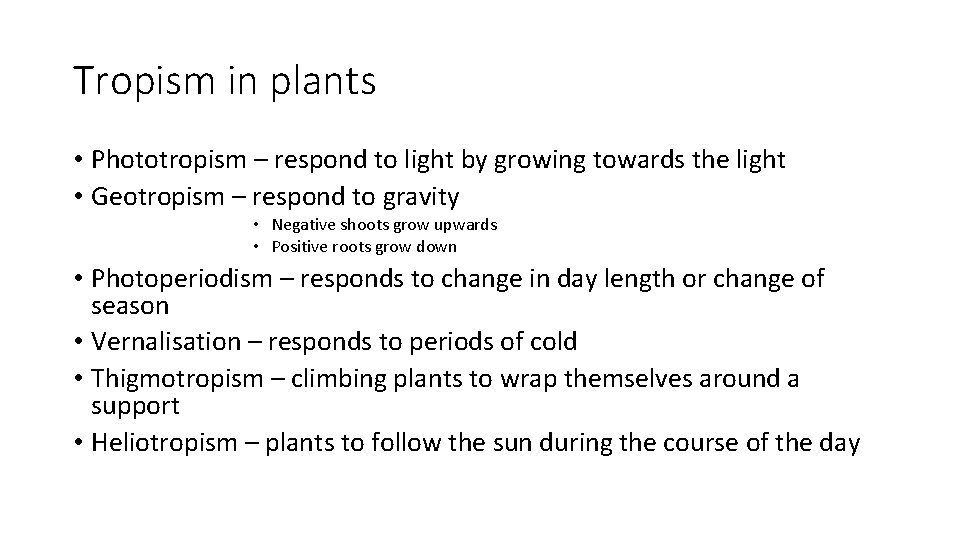 Tropism in plants • Phototropism – respond to light by growing towards the light