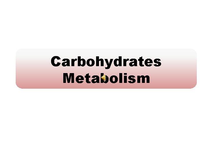 Carbohydrates Metabolism 