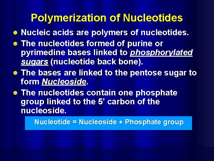 Polymerization of Nucleotides l l Nucleic acids are polymers of nucleotides. The nucleotides formed