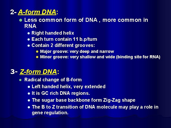 2 - A-form DNA: l Less common form of DNA , more common in