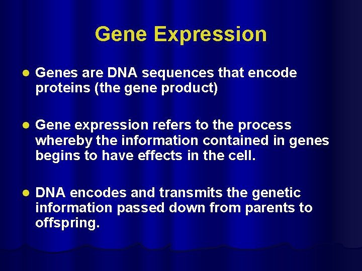 Gene Expression l Genes are DNA sequences that encode proteins (the gene product) l
