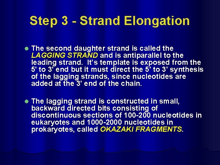 Step 3 - Strand Elongation l The second daughter strand is called the LAGGING
