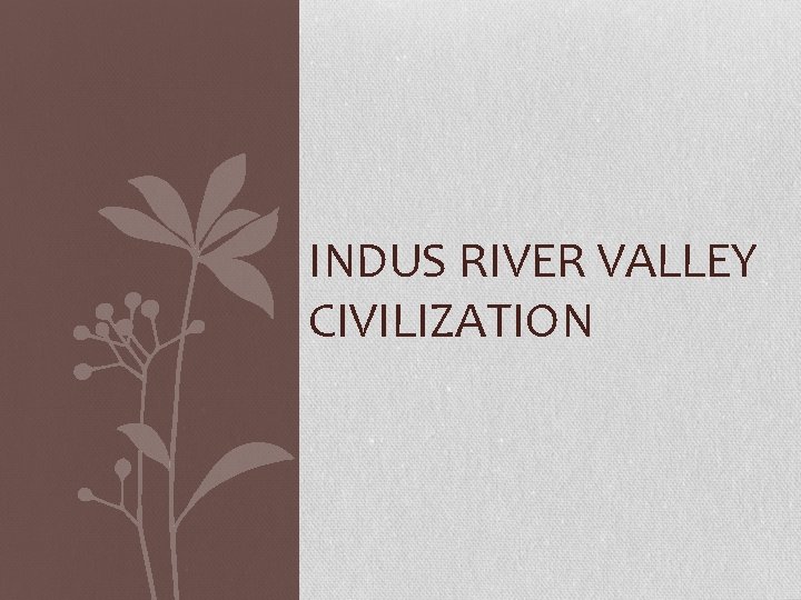 INDUS RIVER VALLEY CIVILIZATION 