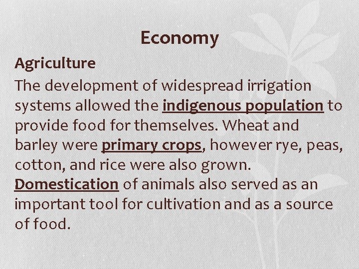 Economy Agriculture The development of widespread irrigation systems allowed the indigenous population to provide