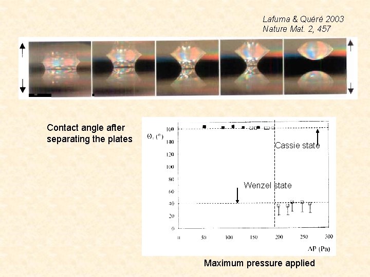 Lafuma & Quéré 2003 Nature Mat. 2, 457 Contact angle after separating the plates