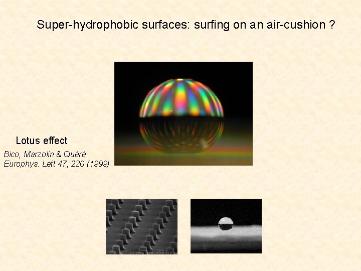 Super-hydrophobic surfaces: surfing on an air-cushion ? Lotus effect Bico, Marzolin & Quéré Europhys.