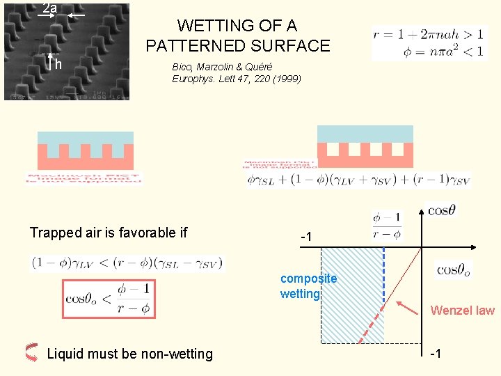 2 a WETTING OF A PATTERNED SURFACE h Bico, Marzolin & Quéré Europhys. Lett