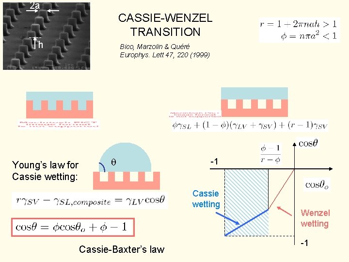 2 a CASSIE-WENZEL TRANSITION h Young’s law for Cassie wetting: Bico, Marzolin & Quéré