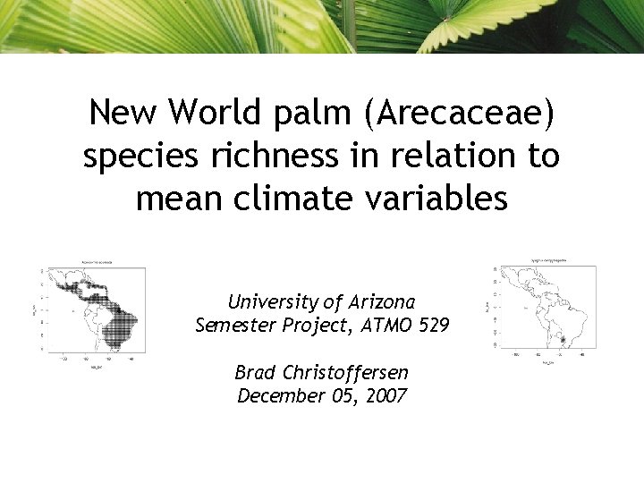 New World palm (Arecaceae) species richness in relation to mean climate variables University of