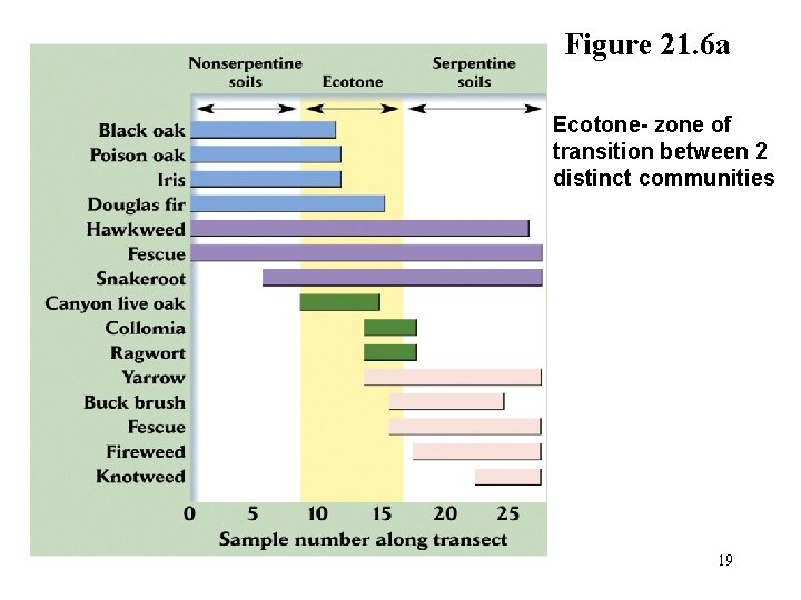 Figure 21. 6 a Ecotone- zone of transition between 2 distinct communities 19 